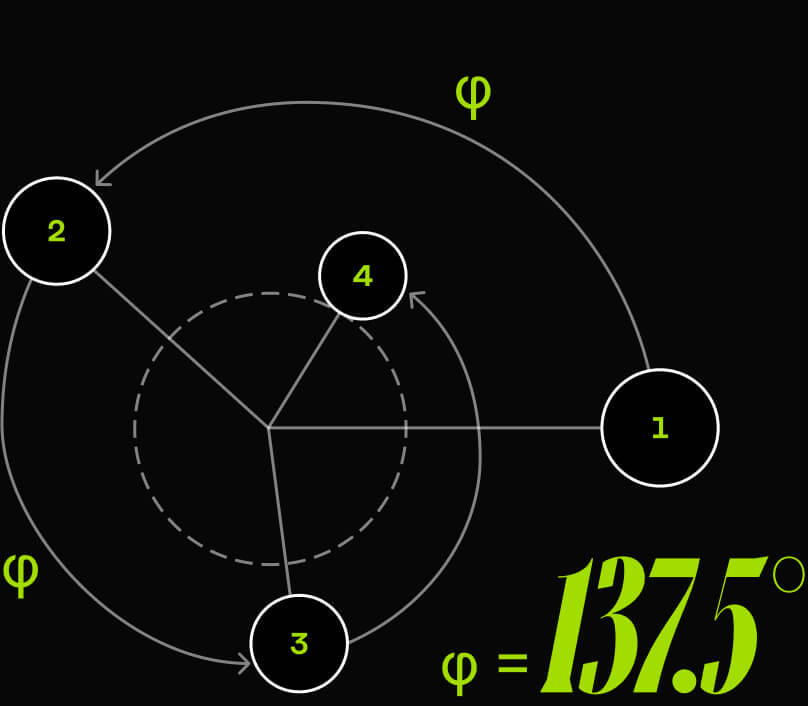 Golden angle diagram — 137.5°
